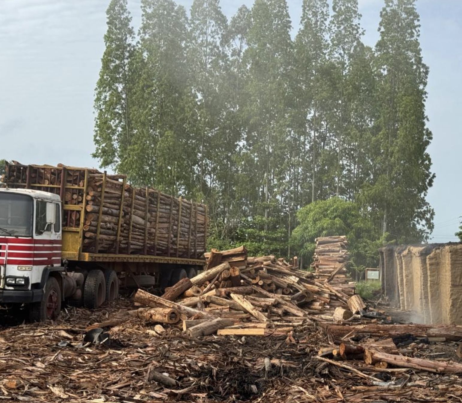 Camión cargado con troncos de eucalipto llegando a los hornos de carbonización